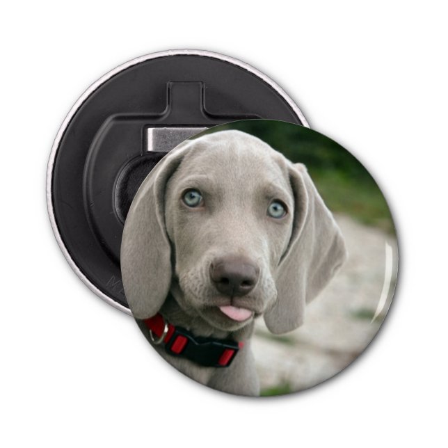 Funny Dog Sticking Tongue Out Photo Bottle Opener (Front)