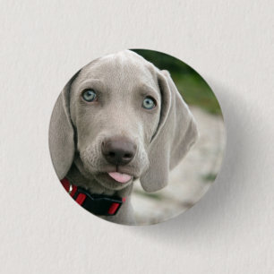 Funny Dog Sticking Tongue Out Photo Button