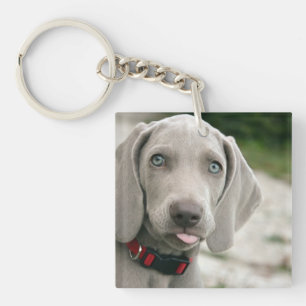 Funny Dog Sticking Tongue Out Photo Keychain