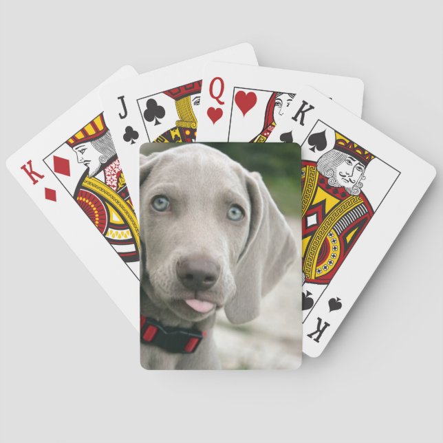 Funny Dog Sticking Tongue Out Photo Poker Cards (Back)