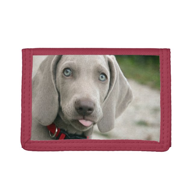 Funny Dog Sticking Tongue Out Photo Trifold Wallet (Front)