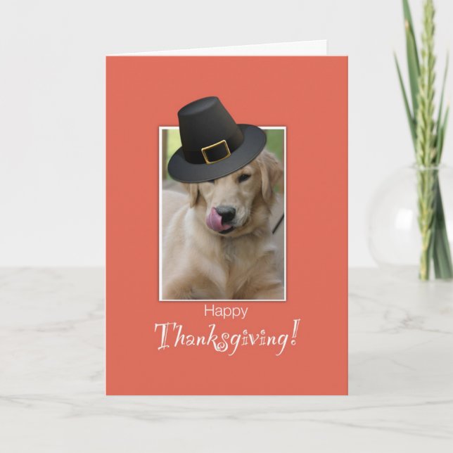Funny Dog Thanksgiving, Humorous Wearing Pilgrim H Holiday Card (Front)