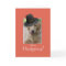 Funny Dog Thanksgiving, Humorous Wearing Pilgrim H