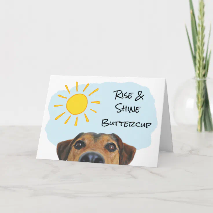 Funny Dog Theme Add a Name Happy Birthday Card | Zazzle Funny Dog Theme Add a Name Happy Birthday Card | Zazzle