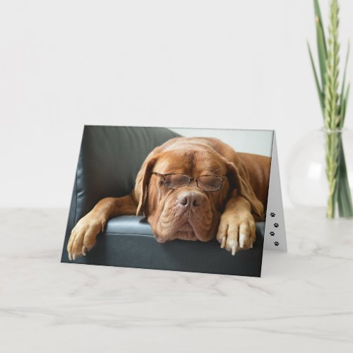 Funny Dog Thinking About You Card