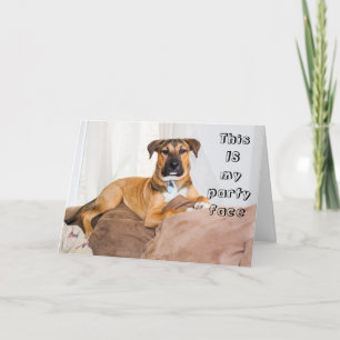 Funny Dog This is My Party Face Birthday Card