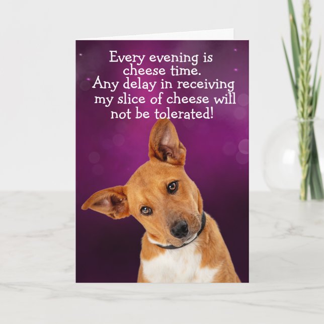 Funny dog thought card (Front)