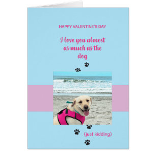 Funny Dog Valentine Love you more....Heart Cards