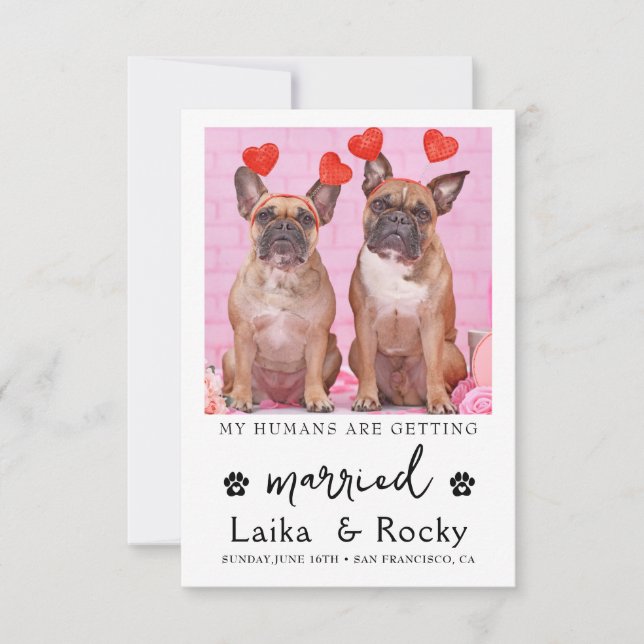 Funny Dog Wedding Invitation (Front)