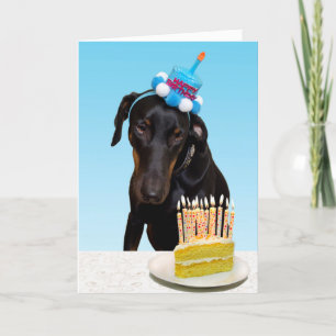 Funny dog with cake Birthday Card