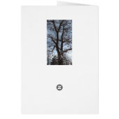 Funny Dog with Snow on Nose Cards (Back)