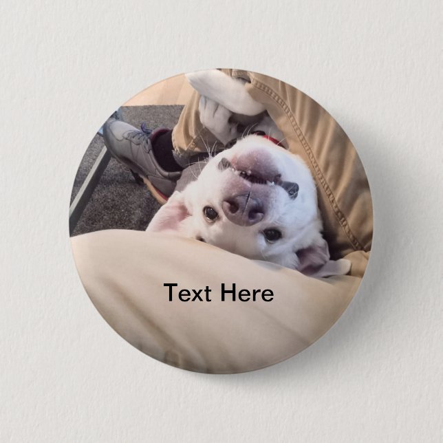 Funny Dog Won't Be Ignored Comical Photo Button (Front)