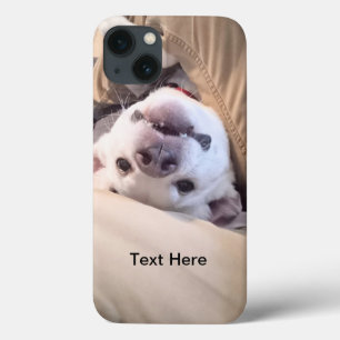 Funny Dog Won't Be Ignored Comical Photo iPhone 13 Case