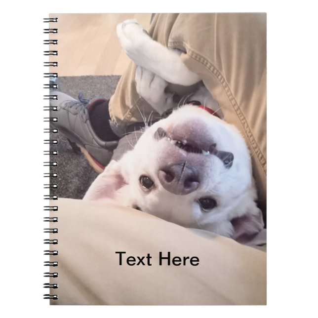 Funny Dog Won't Be Ignored Comical Photo Notebook (Front)