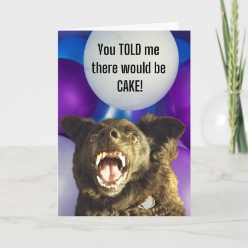 Funny Dog You Told Me There Would be Cake Birthday Card