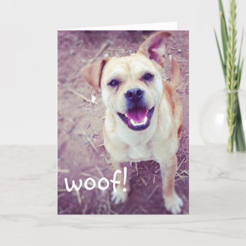 Funny Doggie Fathers Day Greeting Card