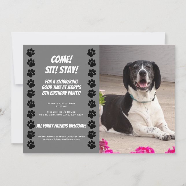 Funny Doggy Birthday Party Invitation (Front)