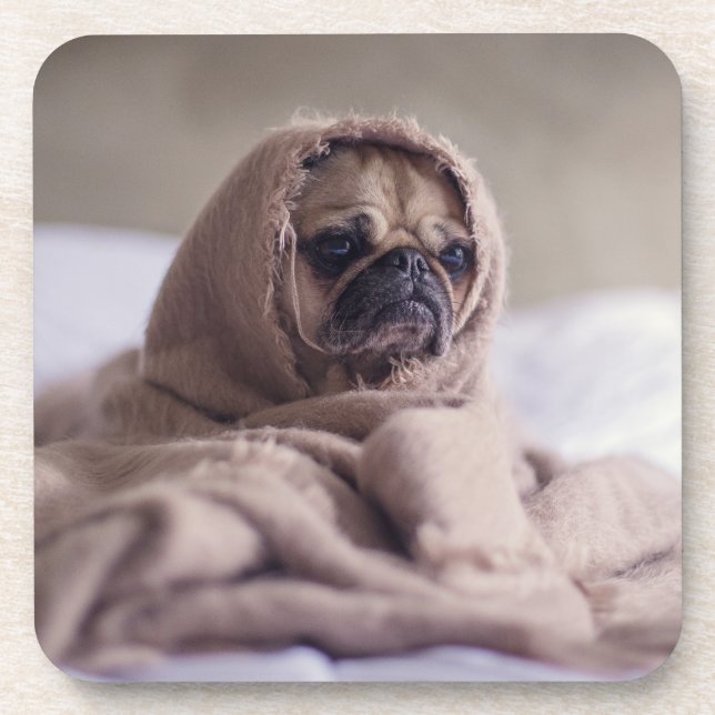 Funny doggy drink coaster (Front)
