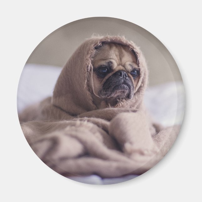 Funny doggy magnet (Front)