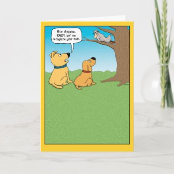 Funny Dogs And Squirrel Birthday Card by chuckink at Zazzle