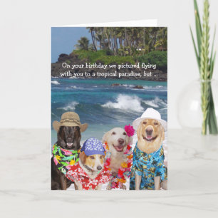 Funny Dogs Birthday for Anyone Card