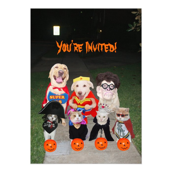 Funny Dogs & Cats Halloween Custom Announcement