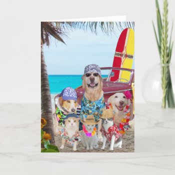 Funny Dogs/cats Hawaiian/surfer Birthday Card by myrtieshuman at Zazzle