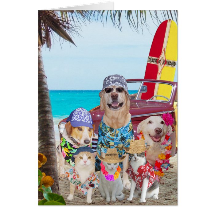 Funny Dogs/Cats Hawaiian/Surfer Birthday Greeting Card