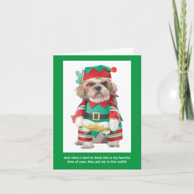 Funny Dog's Favorite Time of Year Chritmas Card (Front)