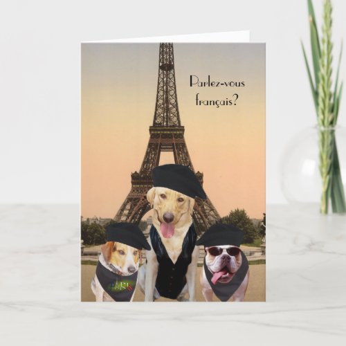 Funny Dogs French Birthday Card