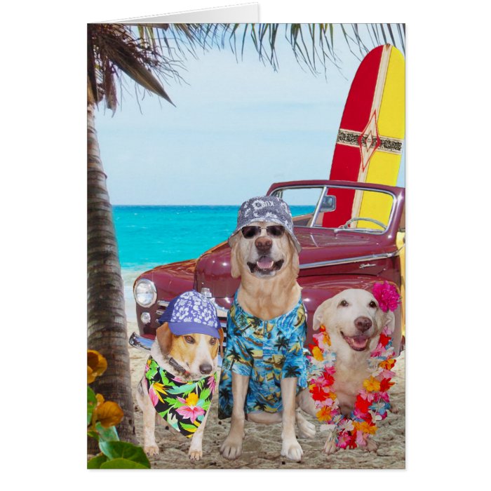 Funny Dogs Hawaiian/Surfer Birthday Cards