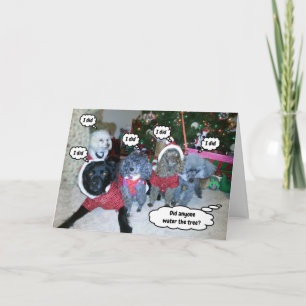 Funny Dogs Help Water The Christmas Tree Card