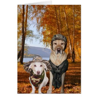 Funny Dogs/Lab Valentine or Anniversary