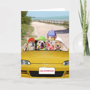 Funny Dogs/Labs Surfer Birthday Card