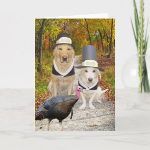 Funny Dogs/Labs Thanksgiving Holiday Card