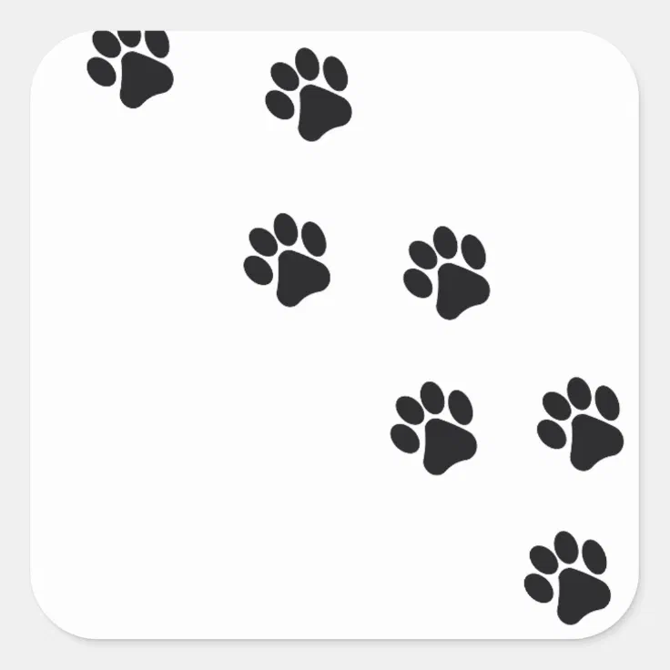 Funny Dogs Paw Print Square Sticker Zazzle