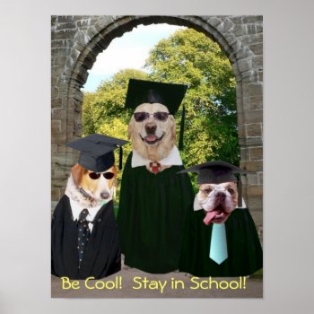 Funny Dogs Stay In School Poster by myrtieshuman at Zazzle