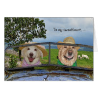Funny Dogs Valentine for Sweetheart Card