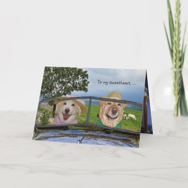 Funny Dogs Valentine for Sweetheart Holiday Card (Front)