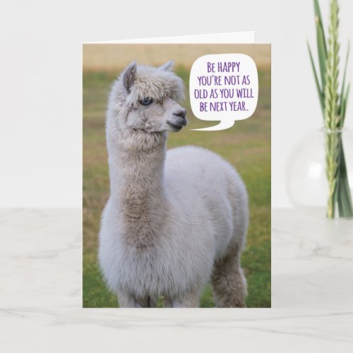 Funny Dolly Llama Birthday Wisdom