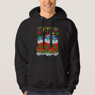 Funny Dolphin In Xmas Socks Lights Dolphin Christm Hoodie