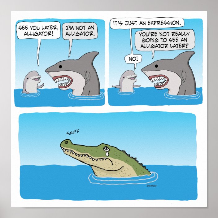 Funny Dolphin, Shark and Sad Alligator Poster | Zazzle.com