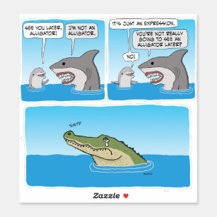 funny dolphin cartoon