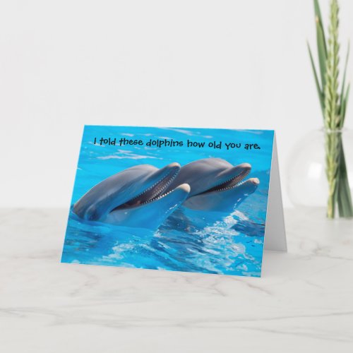Funny Dolphins Birthday Card