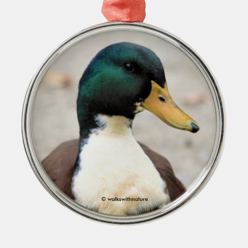 Funny Domestic Mallard Duclair Bibbed Odd Duck Metal Ornament