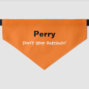 Funny Don’t Stop Retrievin’ Orange Pet Bandana Collar