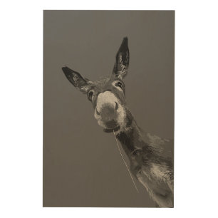 Funny Donkey Grayscale Portrait Art