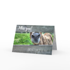 Funny Donkey "I Miss You" Blank Thank You Card