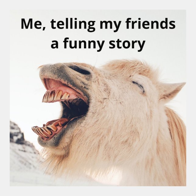 Funny Donkey Meme (Front)