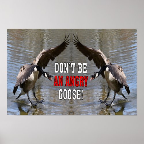 Funny Dont Be An Angry Goose Poster